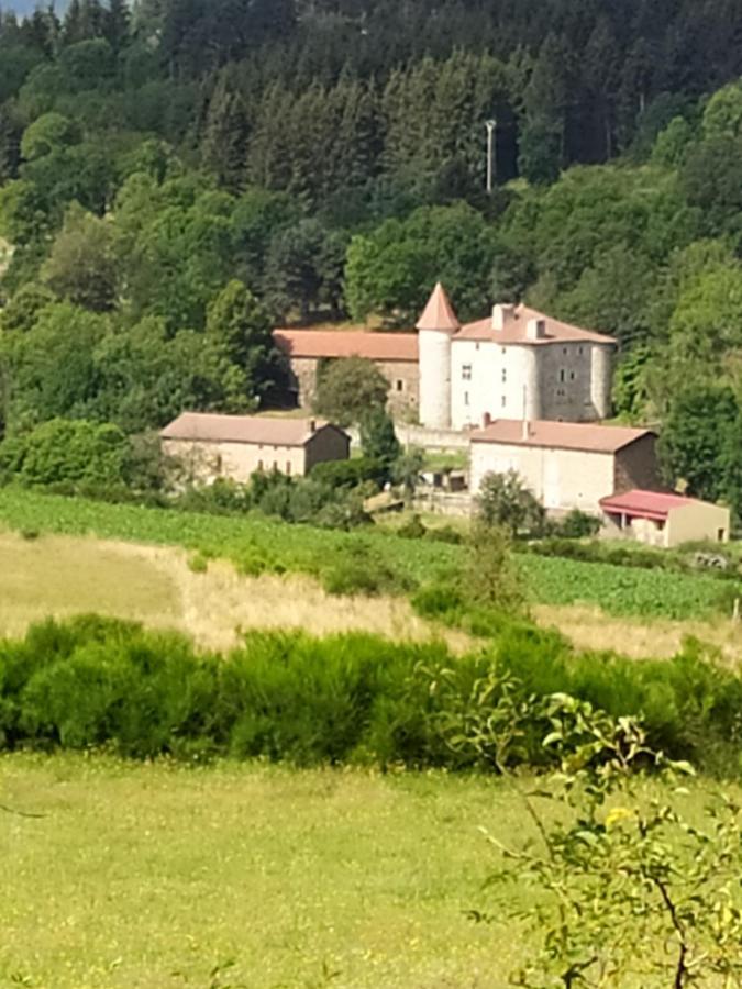 La Maison D'Oree Polignac  Dış mekan fotoğraf